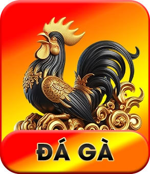 Đá gà QH88
