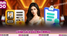Điều khoản cốt yếu trong chính sách bảo mật MMOO